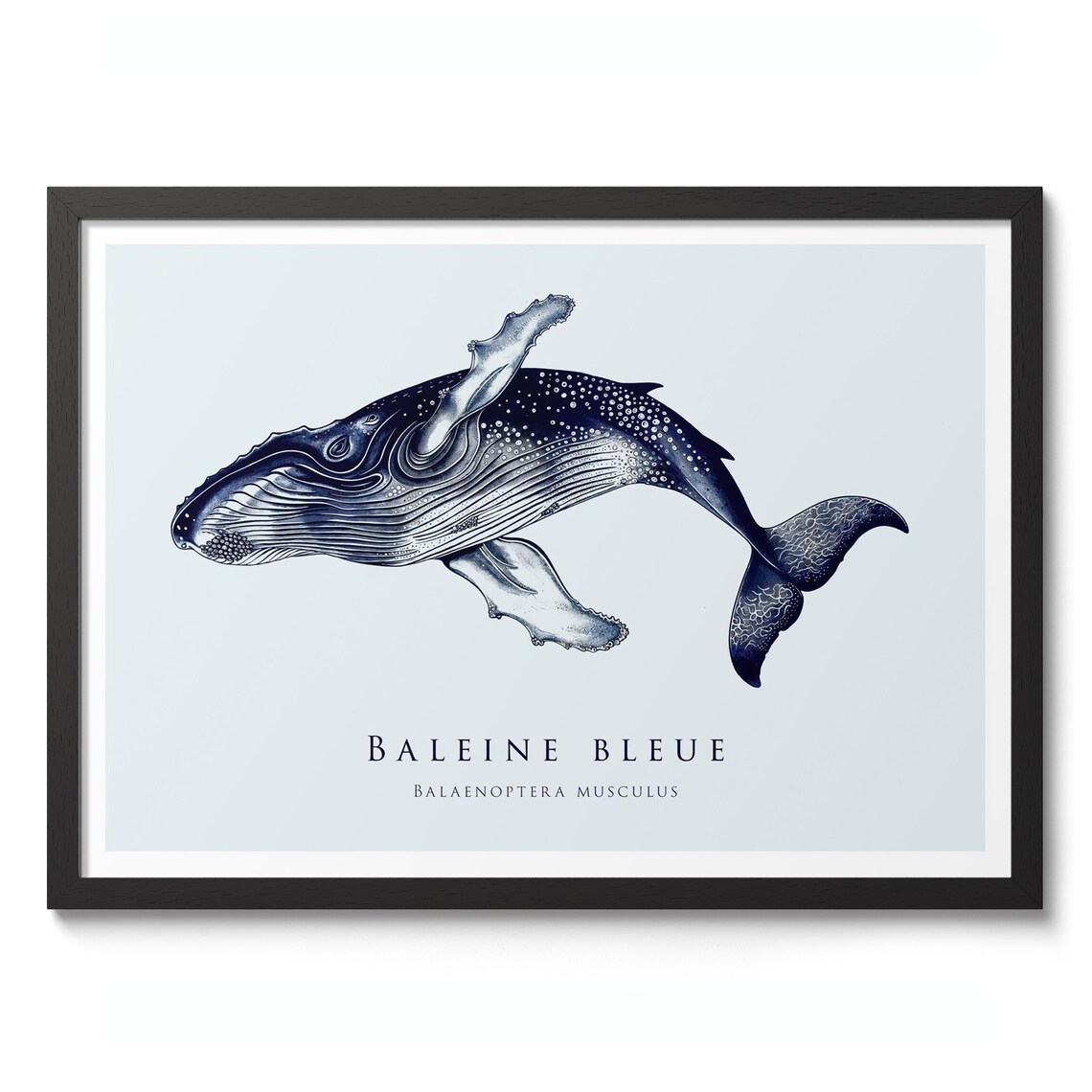 Blue Whale Print Nature Animal Poster Vintage Illustration Wall Art Fish Decor Gift