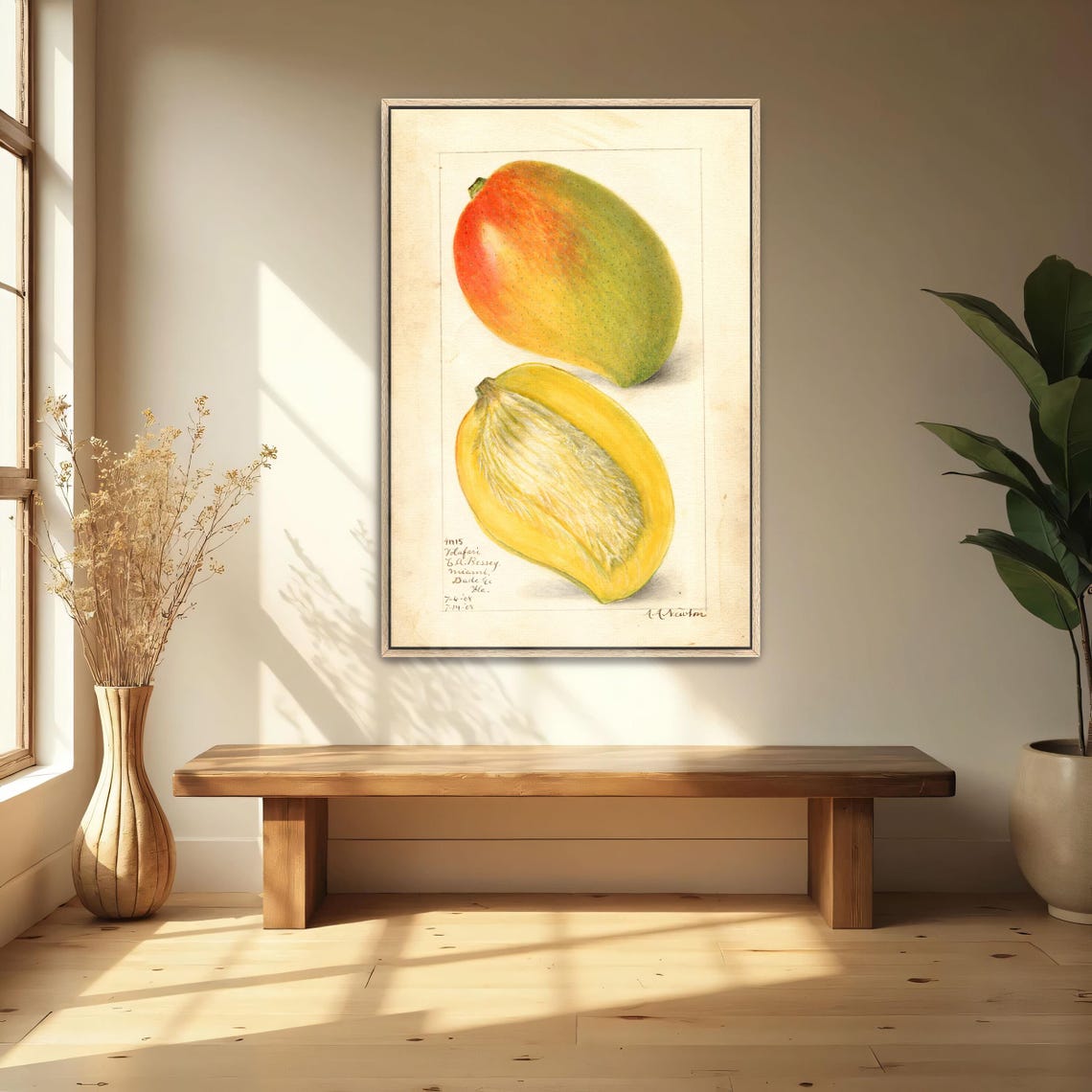 Mango Whole And Halved Vintage Botanical Fruit Illustration Poster - Image 4