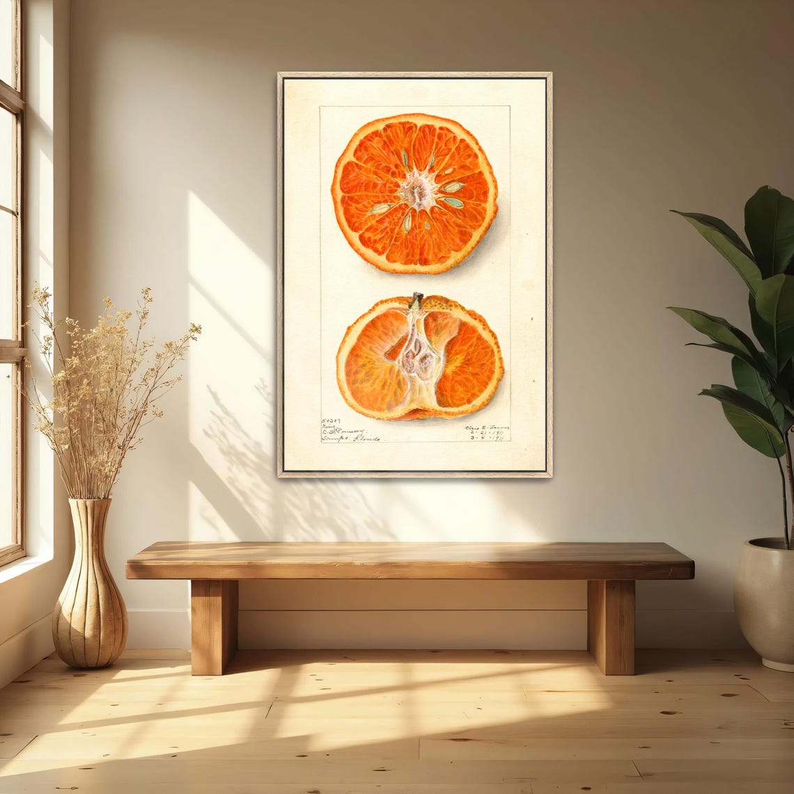 Blood Orange Cross Section Vintage Botanical Fruit Illustration Poster - Image 4