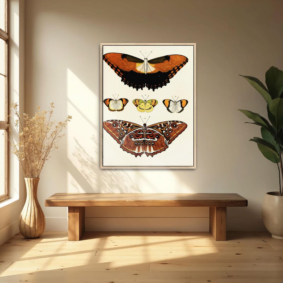 Five Butterflies Victorian Scientific Illustration Chart Poster - Image 5