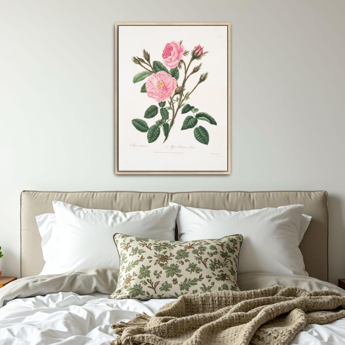 Pink Rose Stem With Buds Classic Botanical Illustration Art Poster - Image 5