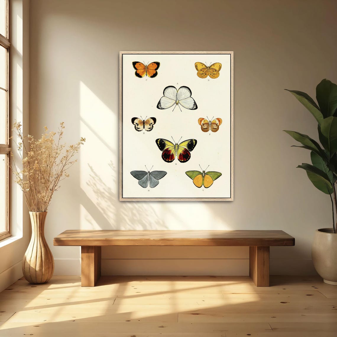 Large Framed Print Of Collection Of Butterflies On A White Page Animal Print White And Yellow Bedroom Art Print
