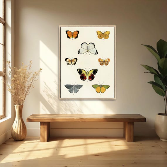 Large Framed Print Of Collection Of Butterflies On A White Page Animal Print White And Yellow Bedroom Art Print