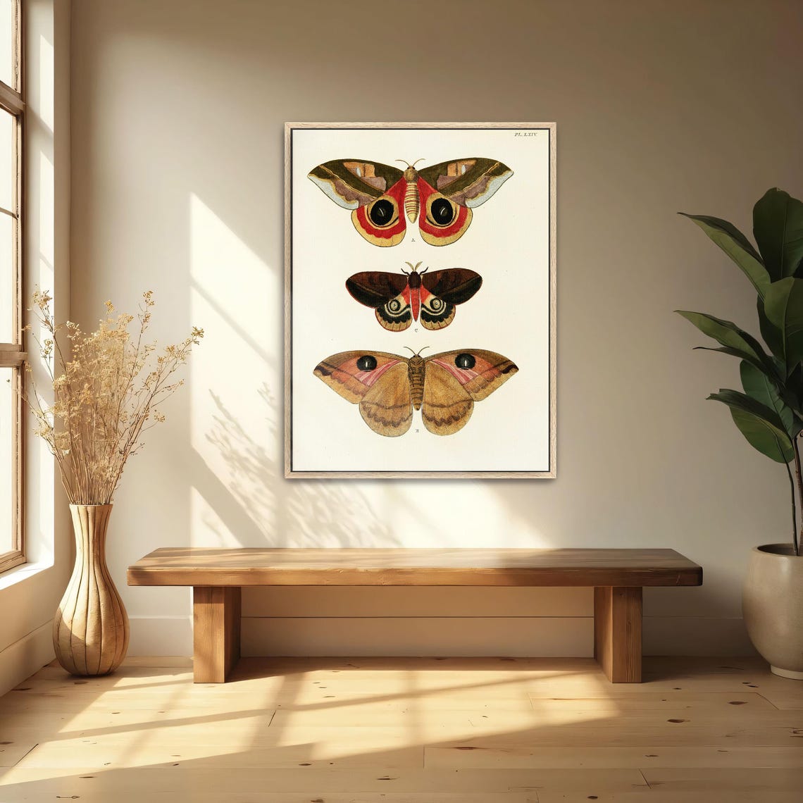 Framed Print Of Three Butterfly Specimens On White Background Animal Print Brown And Red Entryway Art Boho Artwork - Image 5