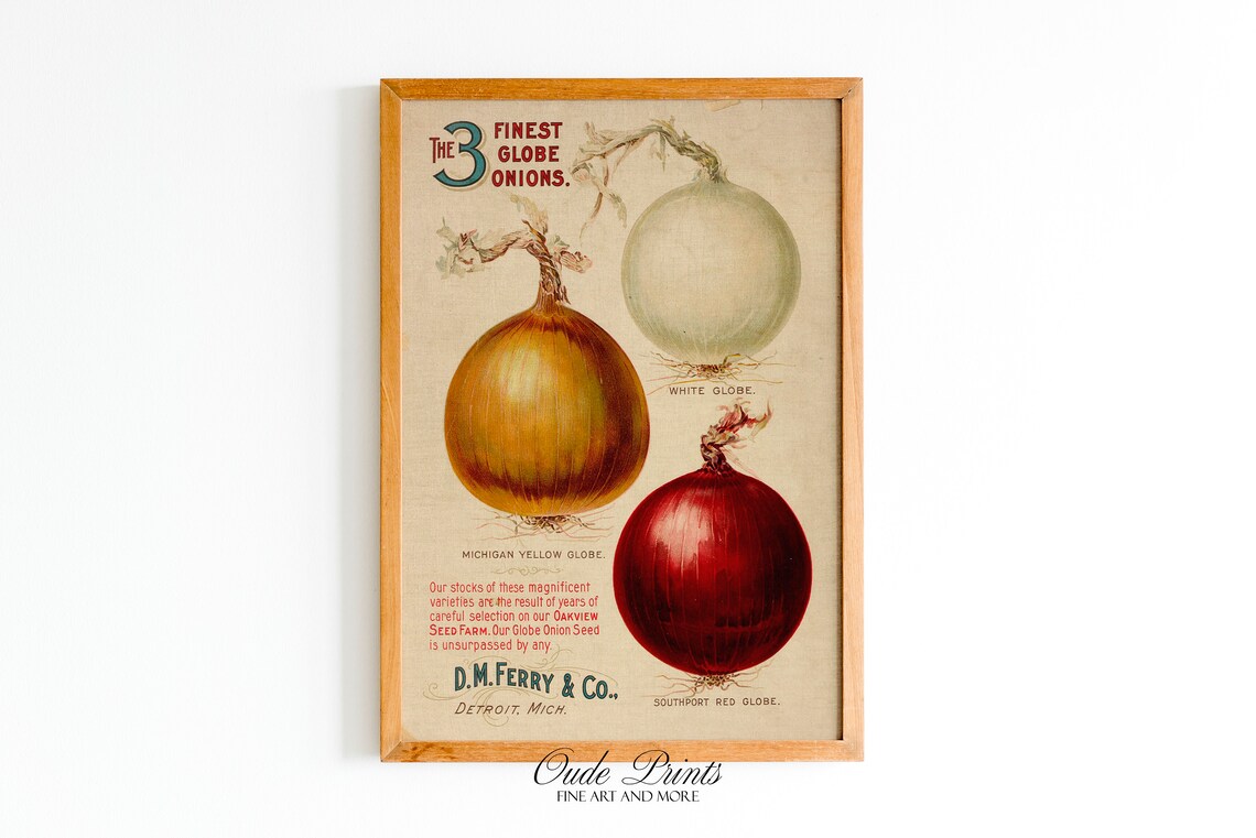 Onion Catalog Cover, 1920s Vegetable Seed Poster