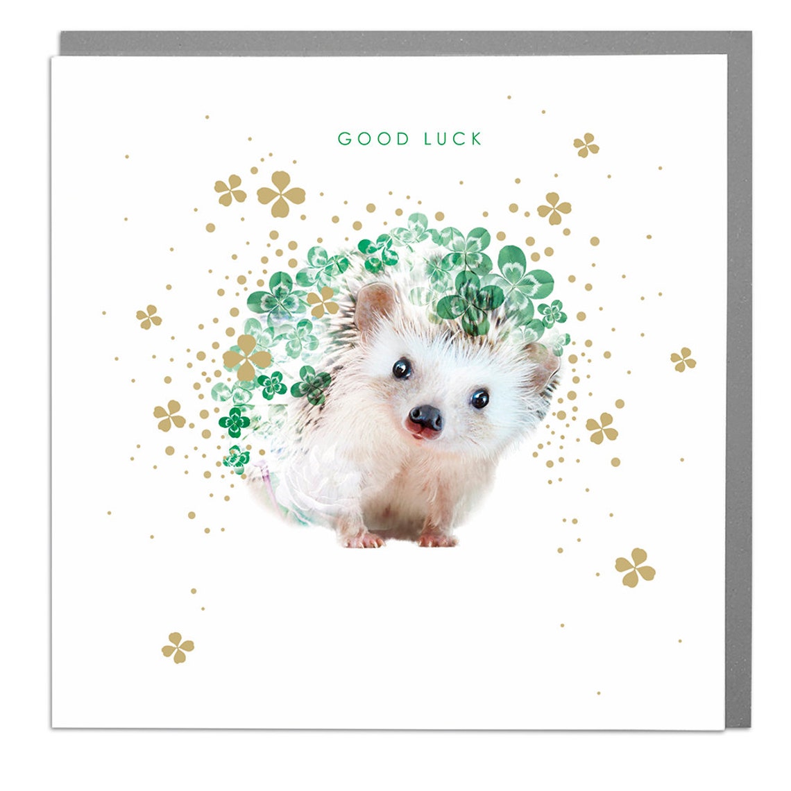 Hedgehog Good Luck Card