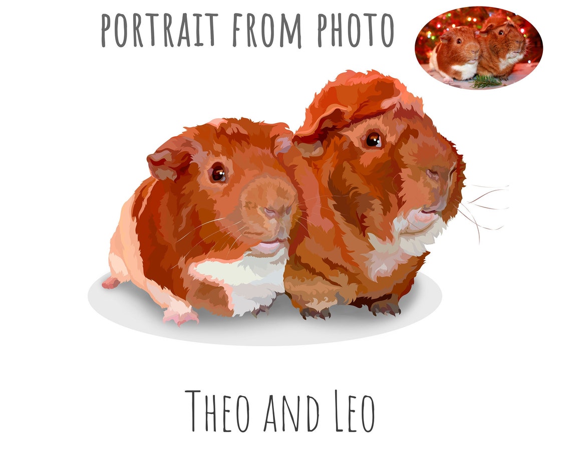 Portrait Of 2 Guinea Pigs Memorial Hamster Portrait Pet Portrait Hamster Gift Pet Memorial Guinea Pig Guinea Pig Picture