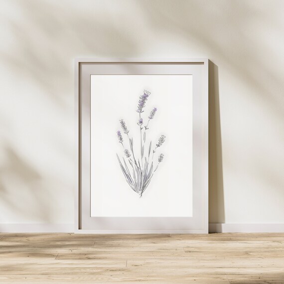 Watercolor Lavender Stalks Print Folk Botanical Art
