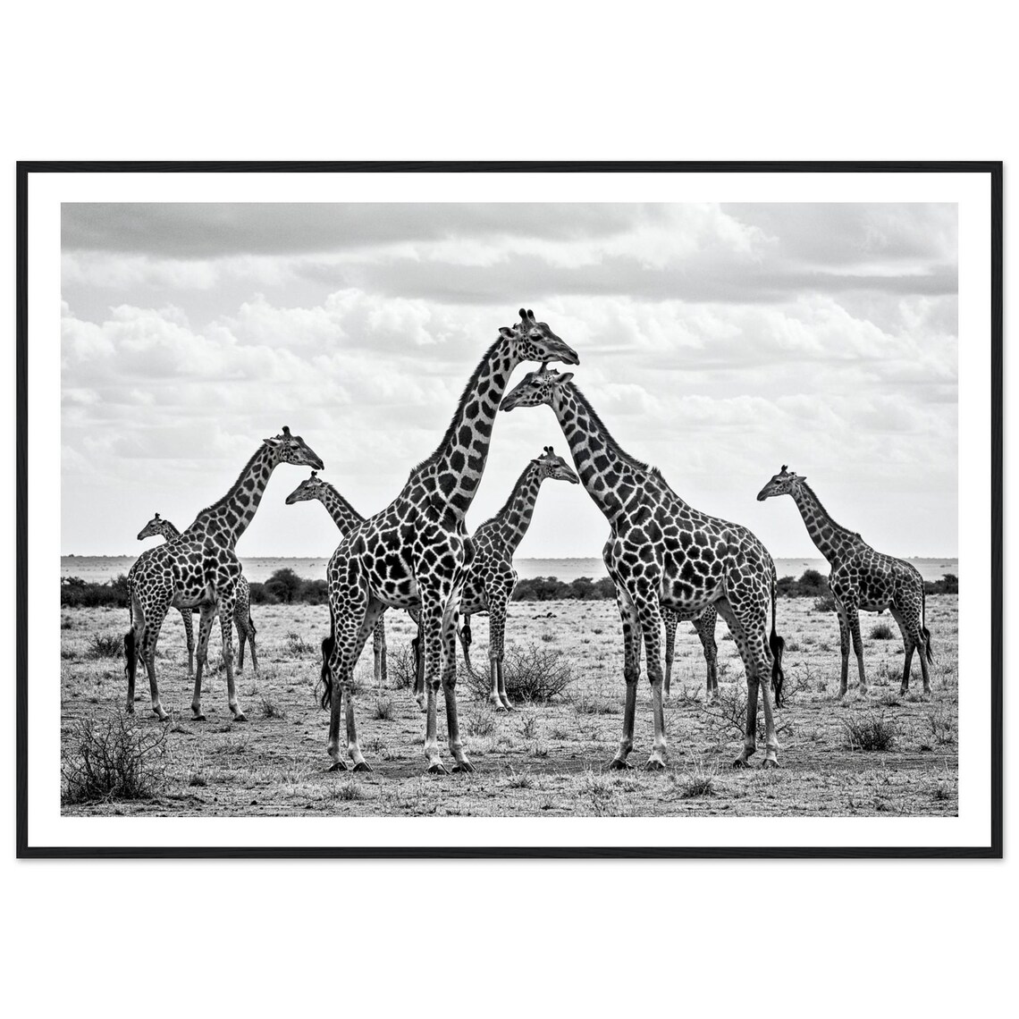Black And White Giraffe Minimalist Safari Art Print