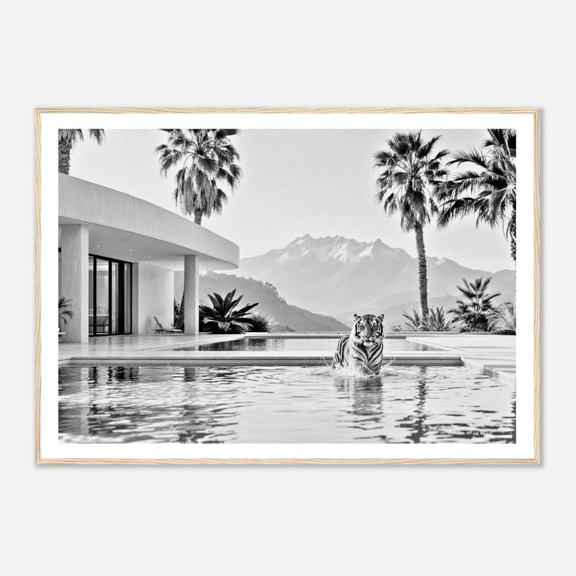 Black And White Tiger Poolside Modern Villa Fine Art Photo Poster