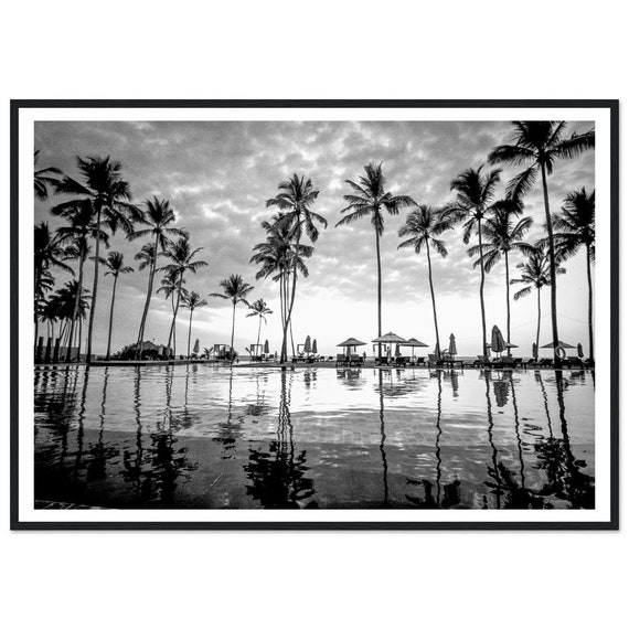 Palm Trees Photography Print, Black And White Coastal Decor