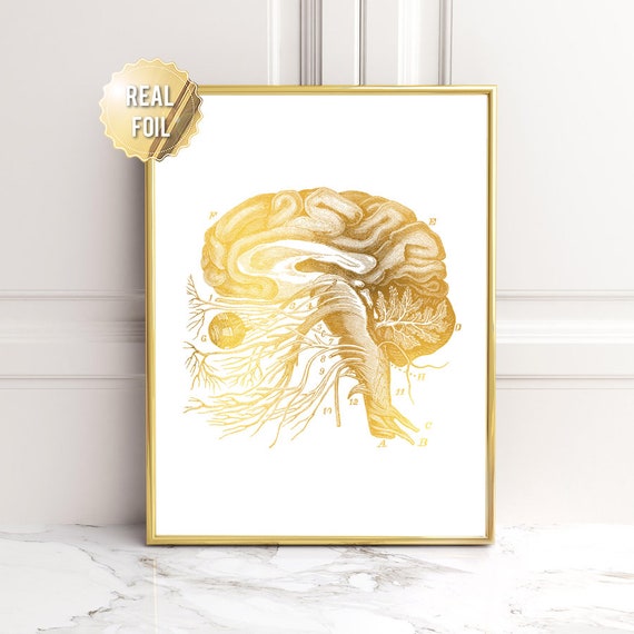 Neuroscience Gold Foil Print Brain Cranial Nerves Neurology Gift Neurologist Medical Student Gift Neuro Nurse Gift Science Art