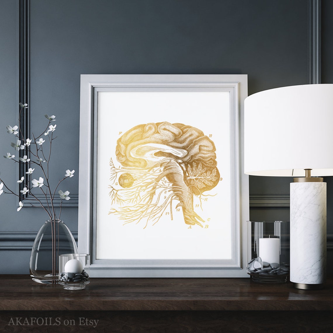 Gold Foil Brain Cranial Nerves Neurology Vintage Medical Art Print - Image 3