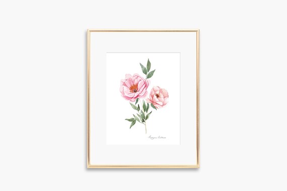 Blush Pink Peony Watercolor Blooming Duo Floral Elegant Art Poster