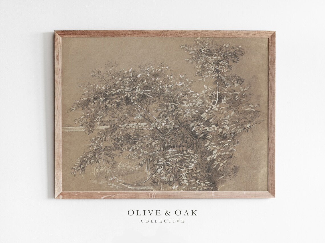 Antique Tree Drawing, Botanical Sketch Art Print