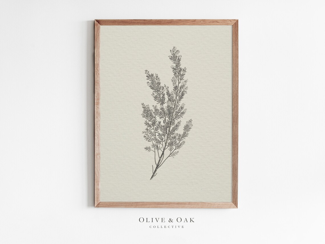 Rustic Botanical Print Simple Neutral Artwork 444