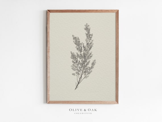 Rustic Botanical Print, Simple Neutral Wall Art