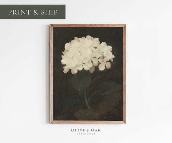 Vintage Hydrangea Painting Framed Flower Painting Moody Wall Art Fine Art Print White Flower Painting 155 M