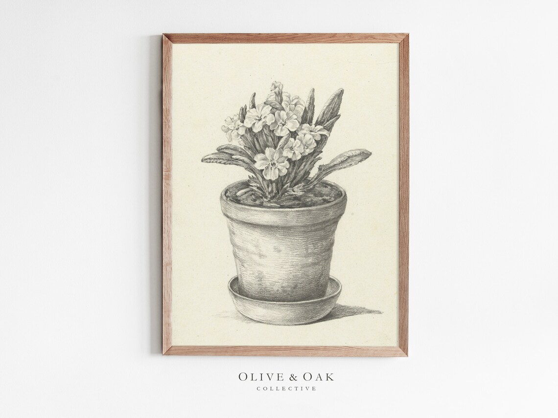 Botanical Sketch Vintage Flower Drawing, Farmhouse Art Print