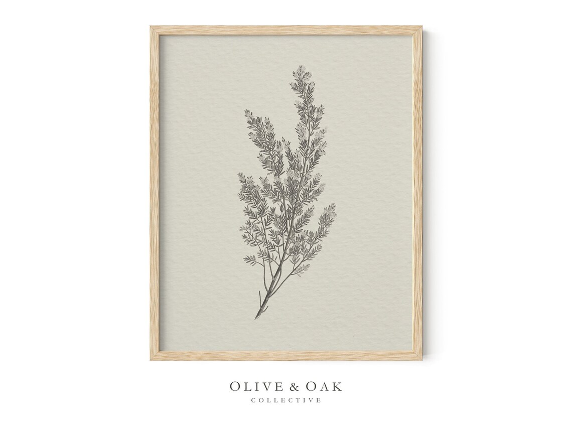 Rustic Botanical Art Print, Simple Neutral Decor - Image 4