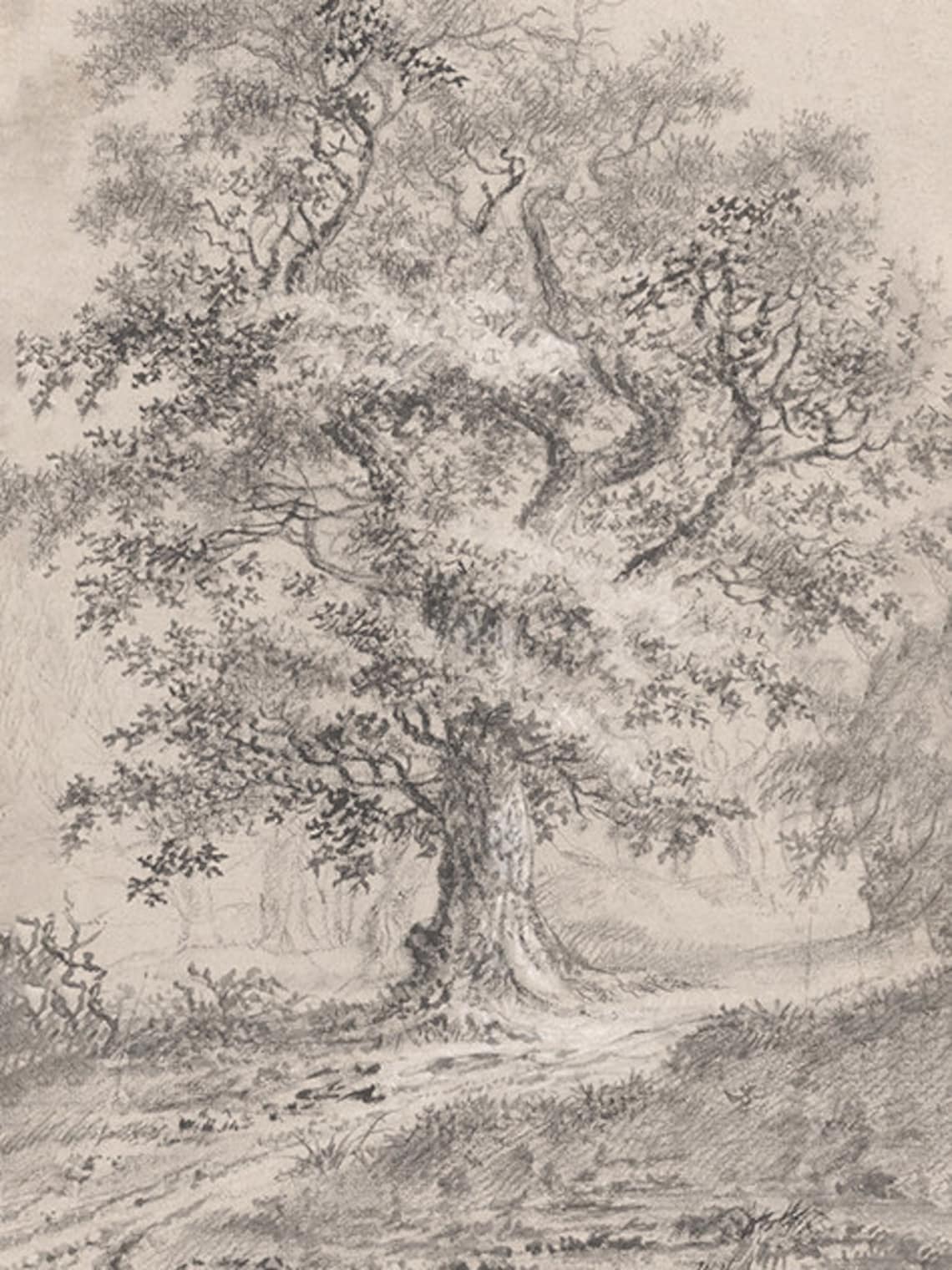 Vintage Tree Sketch, Rustic Neutral Wall Art Print - Image 3
