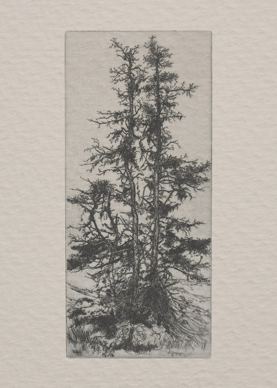 Vintage Tree Sketch, Minimalist Tree Etching Poster - Image 2