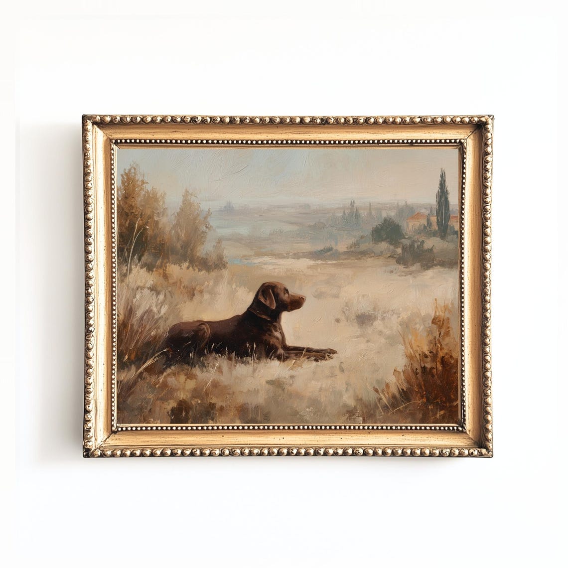Chocolate Labrador Lying in a Golden Wheat Field Pastoral Poster