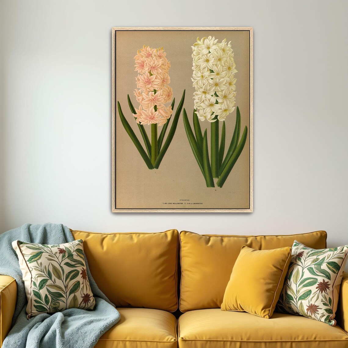 Two Hyacinth Flowers Pink and White Botanical Illustration Poster - Image 5
