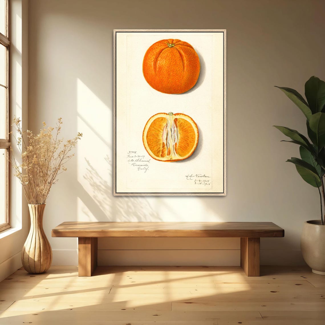 Vintage Orange Study Whole Fruit And Cut Half Botanical Art Poster - Image 4