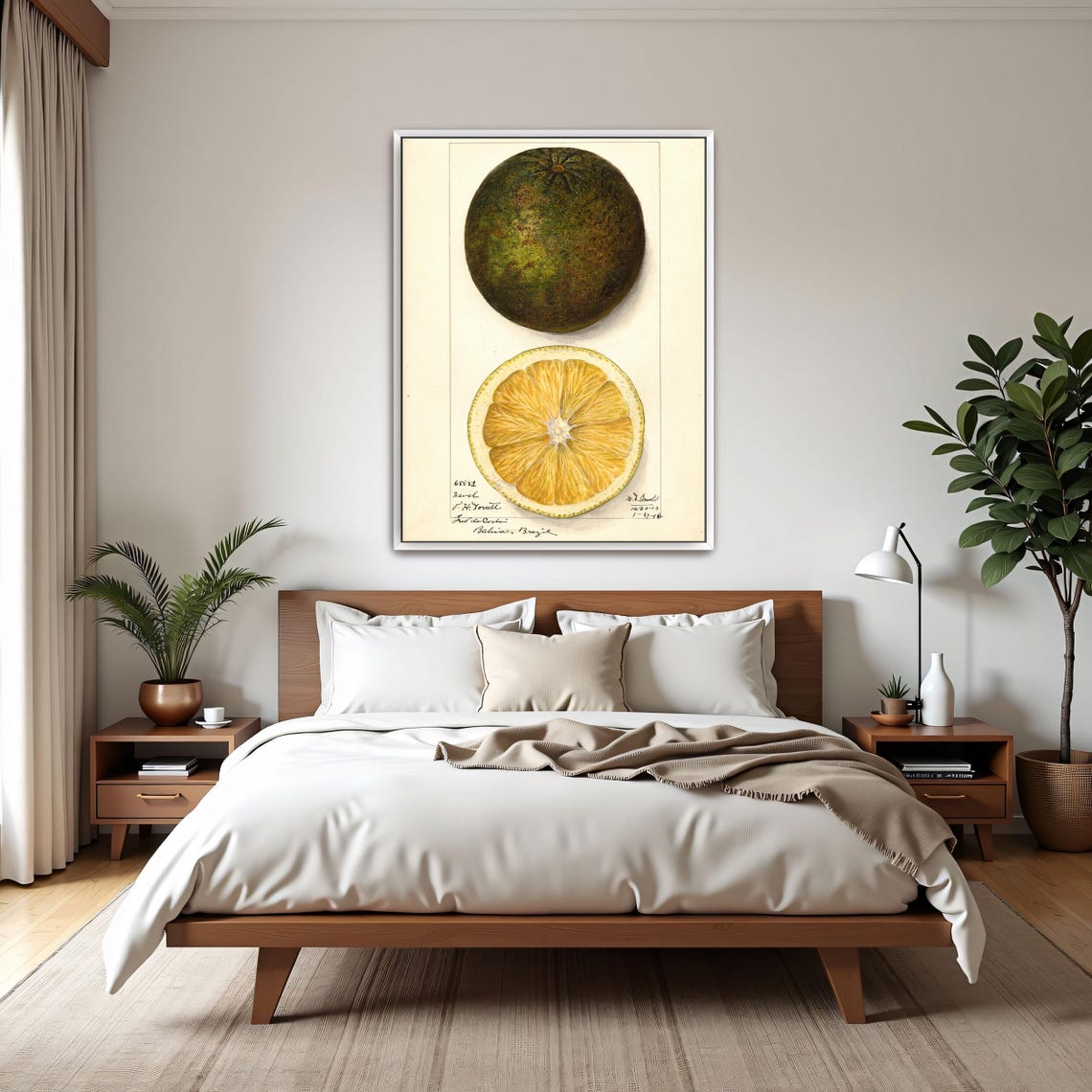 Vintage Pomelo Citrus Botanical Illustration Cross Section Poster - Image 3