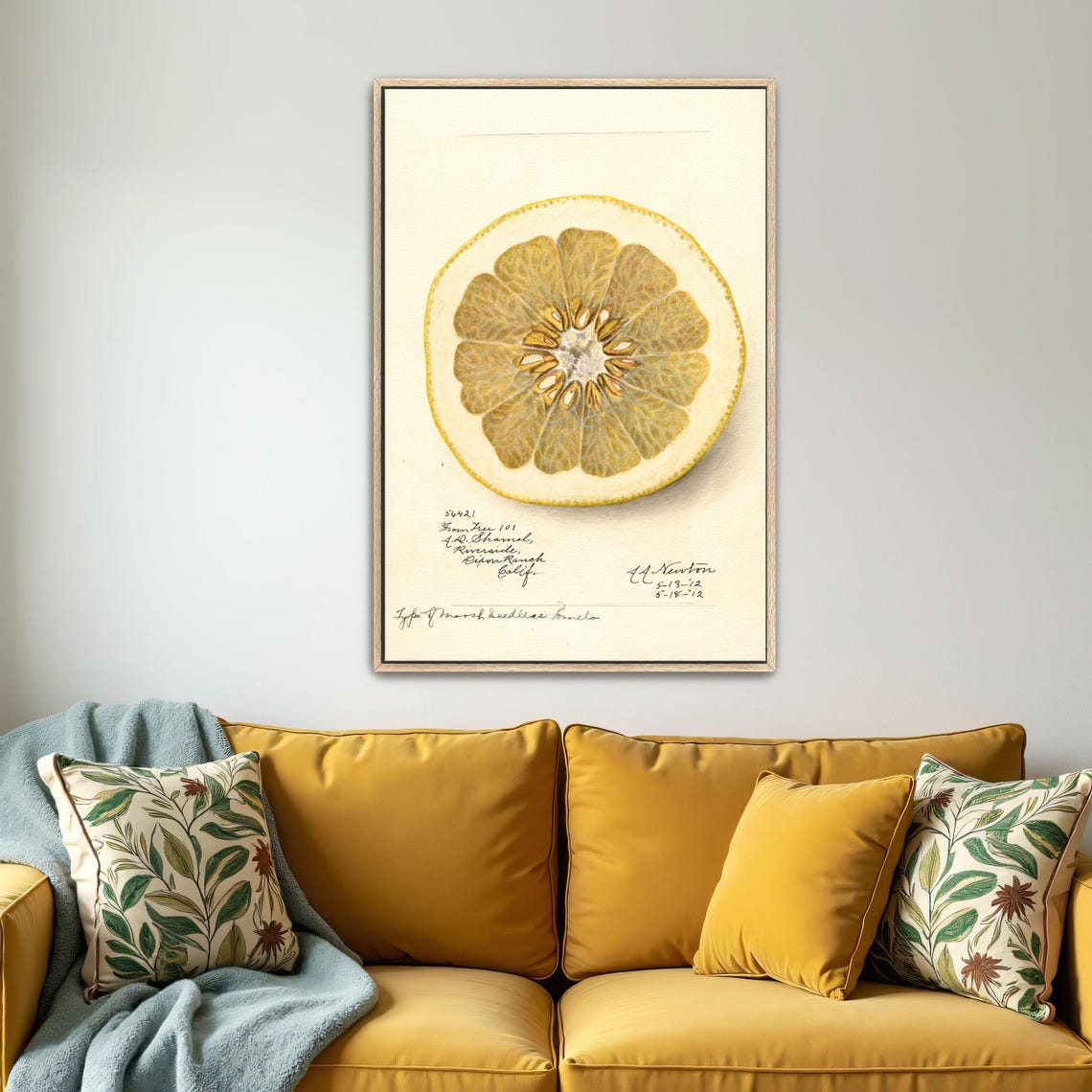 Citrus Fruit Cross Section Vintage Pomelo Slice Botanical Art Poster - Image 4