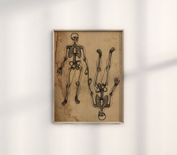 Vintage Human Anatomy Art 2 Human Skeletons Dark Wall Print Antique Paper Goth Aesthetic