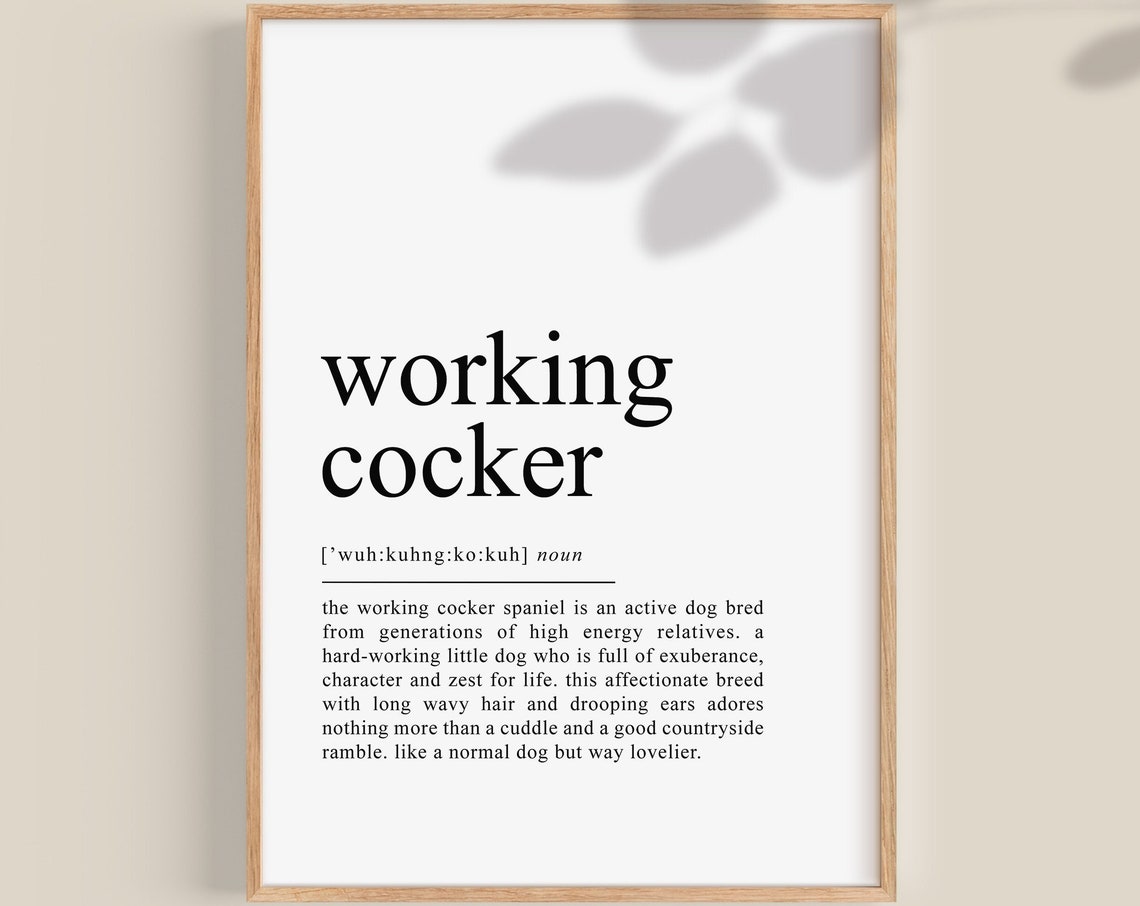 Working Cocker Spaniel Dictionary Definition Dog Lover Poster
