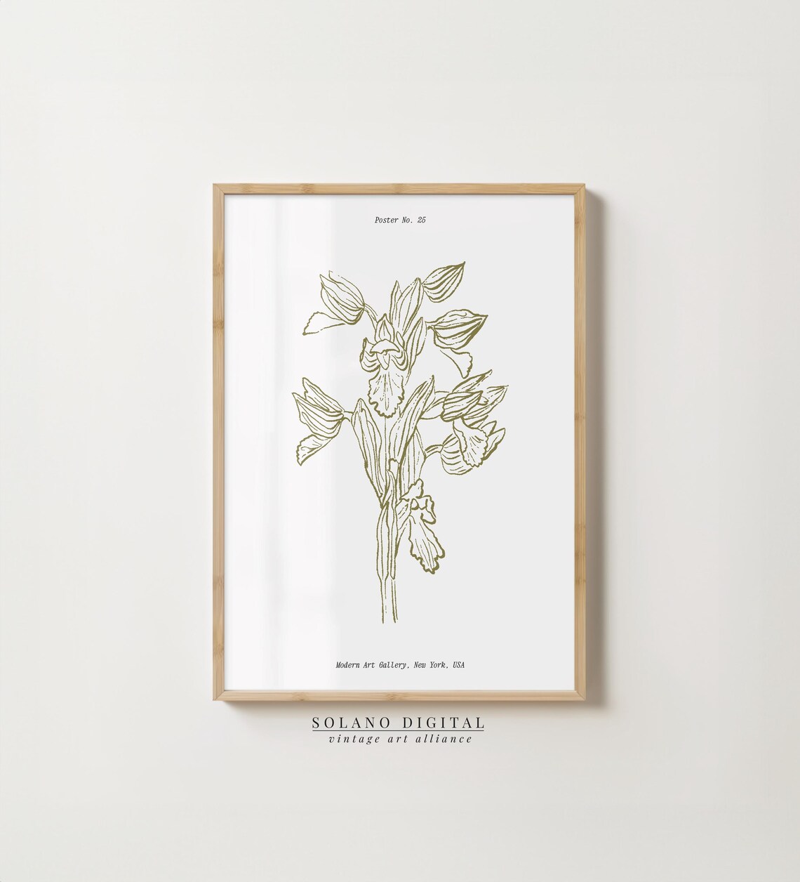 Vintage Orchid Botanical Line Drawing Minimalist Floral Poster