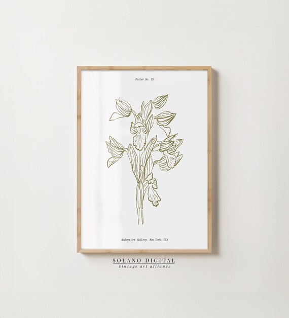Vintage Orchid Botanical Line Drawing Minimalist Floral Poster