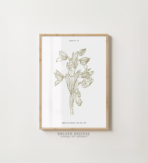 Vintage Orchid Botanical Print Line Art Flower Poster Minimalist Floral Wall Modern Gallery New York Style