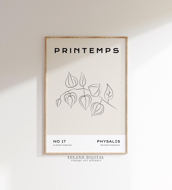 Physalis Line Art Print Botanical Wall From Jardin Collection Black And Beige Plant Illustration Minimalist