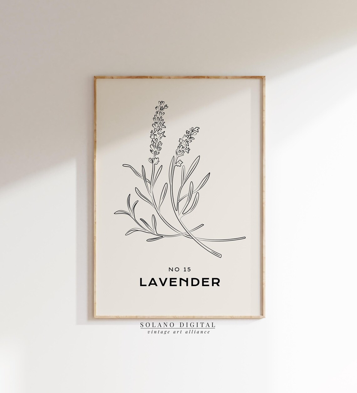 Lavender No 15 Botanical Line Art Minimalist French Herb Poster