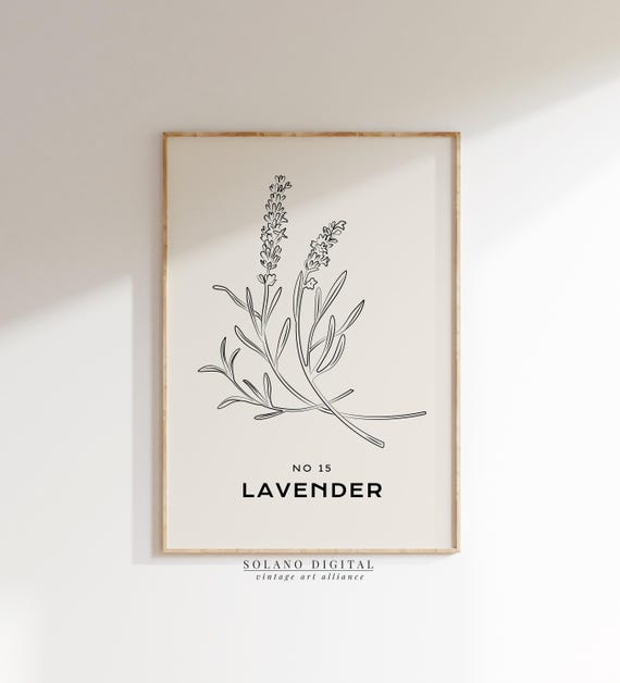Lavender Line Art Print Minimal Botanical Wall Black And Beige Herb Poster French Country Decor