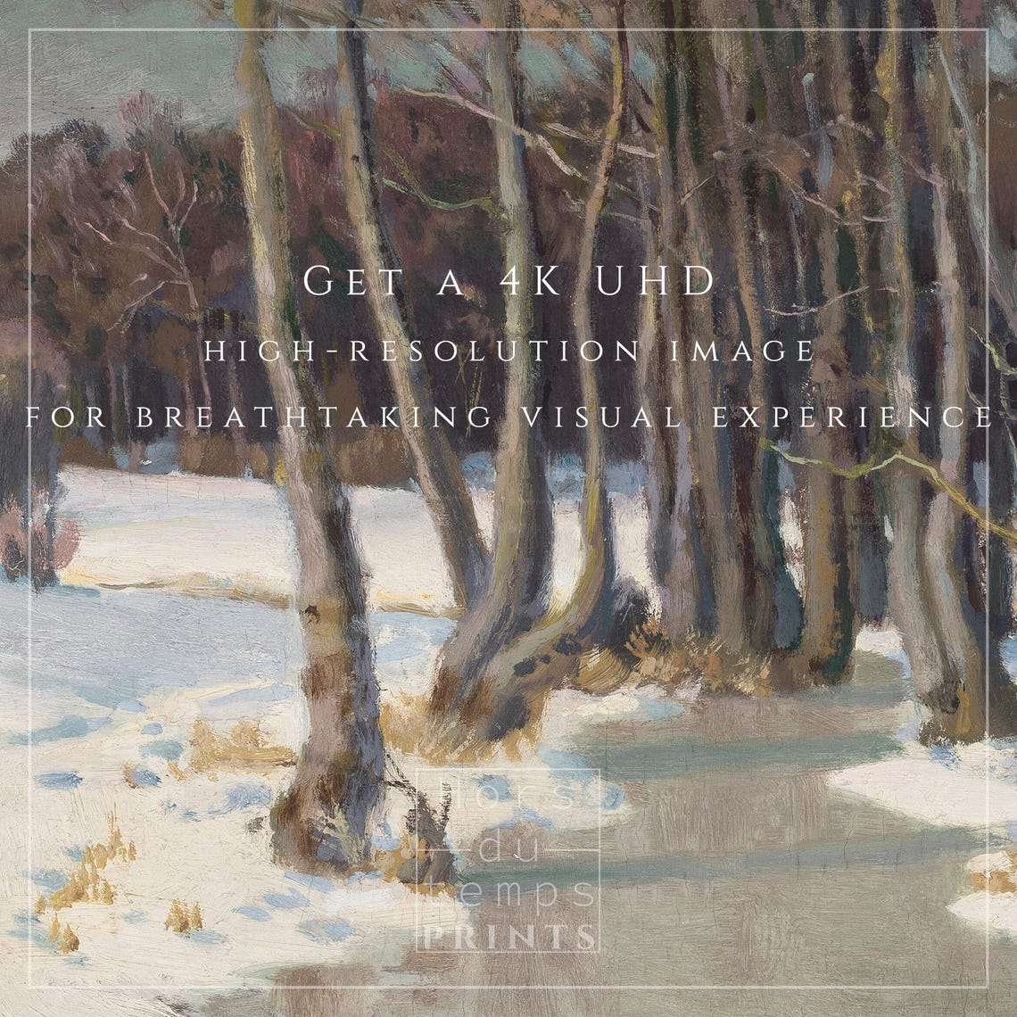 Tall Winter Trees Along a Frozen Stream Snowy Landscape Poster - Image 2
