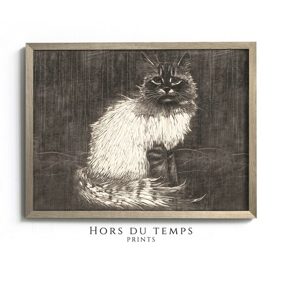 Long Haired Tabby Cat Vintage Engraving Cat Lover Gift Wall Poster