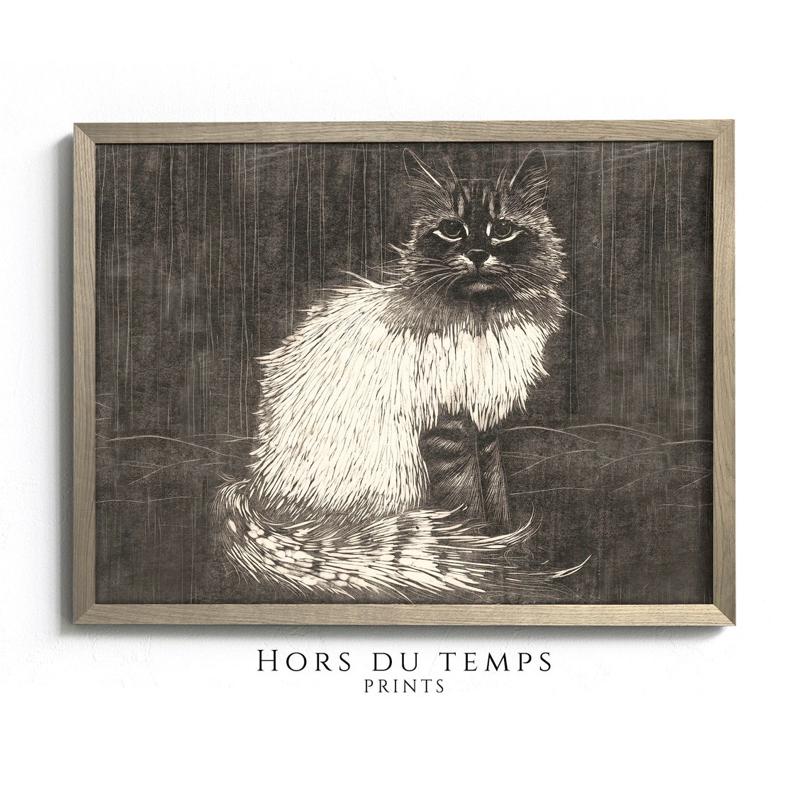 Long Haired Tabby Cat Vintage Engraving Cat Lover Gift Wall Poster