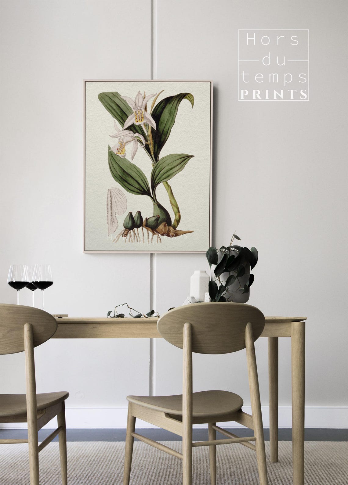 White Orchid Botanical Study Antique Floral Illustration Poster - Image 2