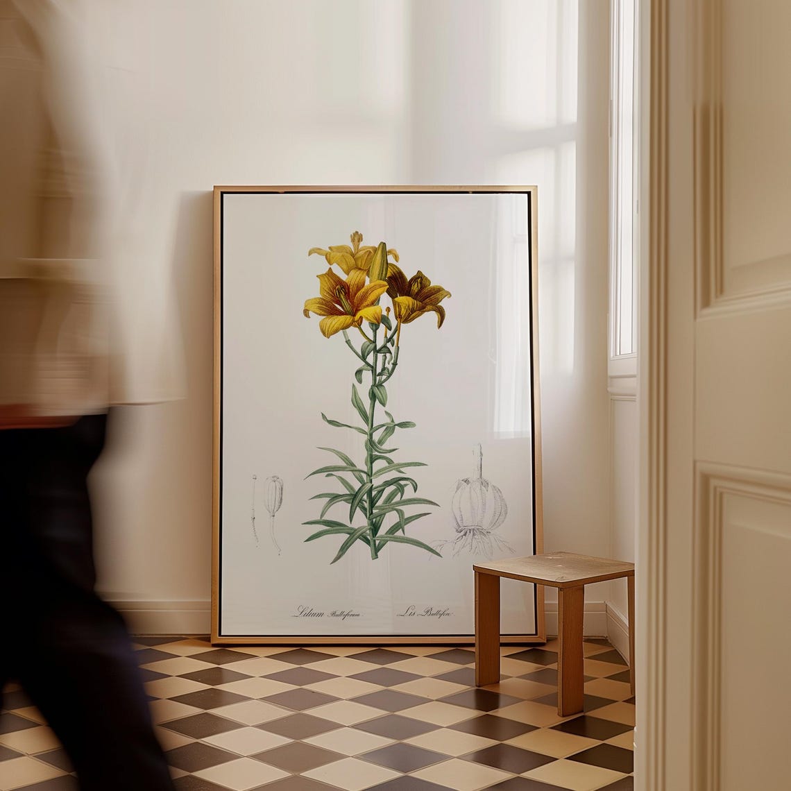 Lilium Bulbiferum Fire Lily Vintage Botanical Illustration Wall Art
