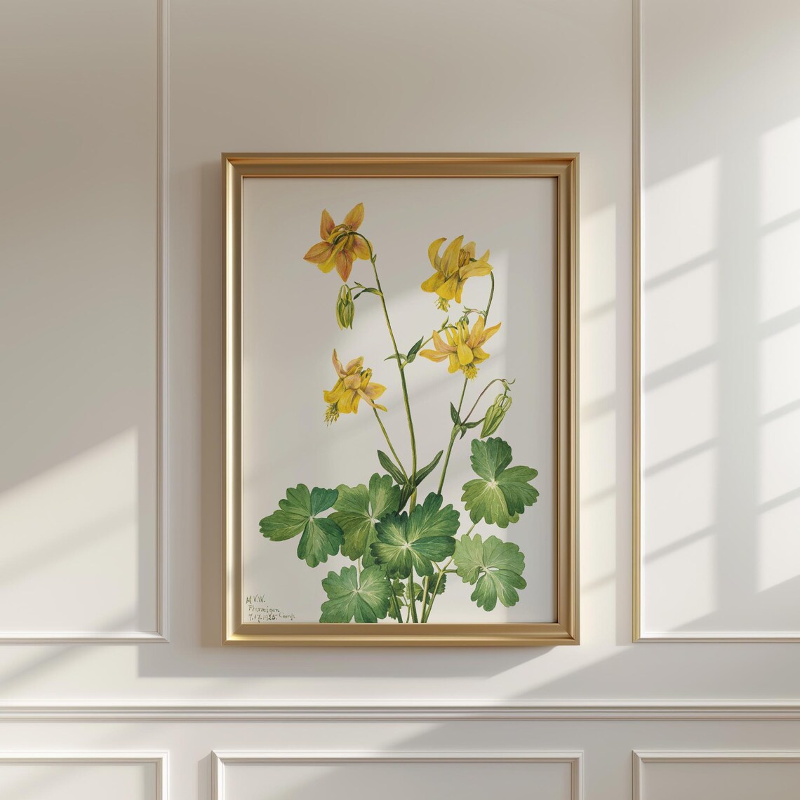 Lemon Columbine Flower Art Print Vintage Botanical Wall Decor