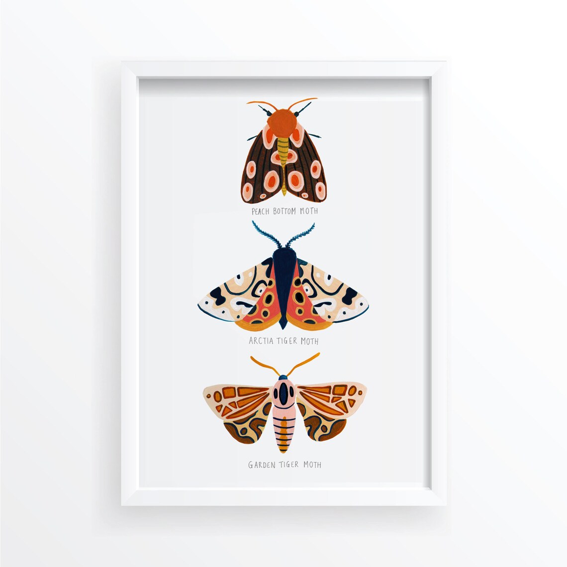 Moth Trio Art Print, Woodland Nursery Decor - Image 4