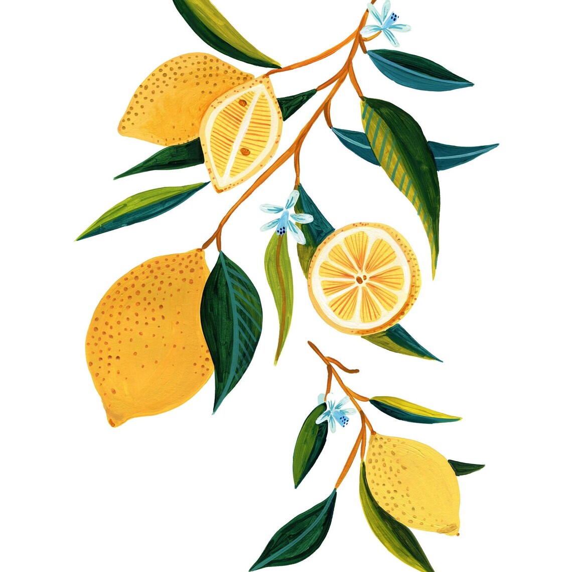 Lemon Print Kitchen Decor, Botanical Art Print - Image 2