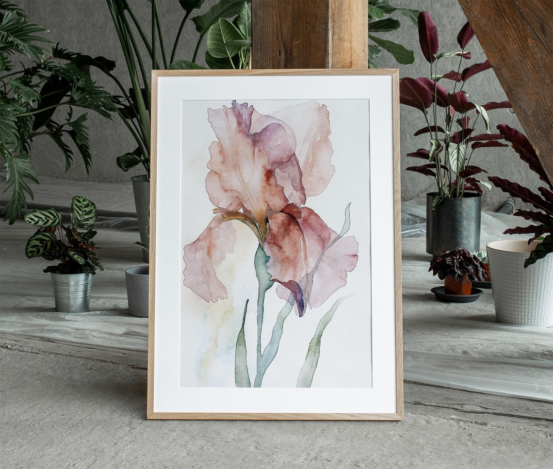 Dusty Pink Iris Flower Single Bloom Minimalist Watercolor Art Print - Image 3