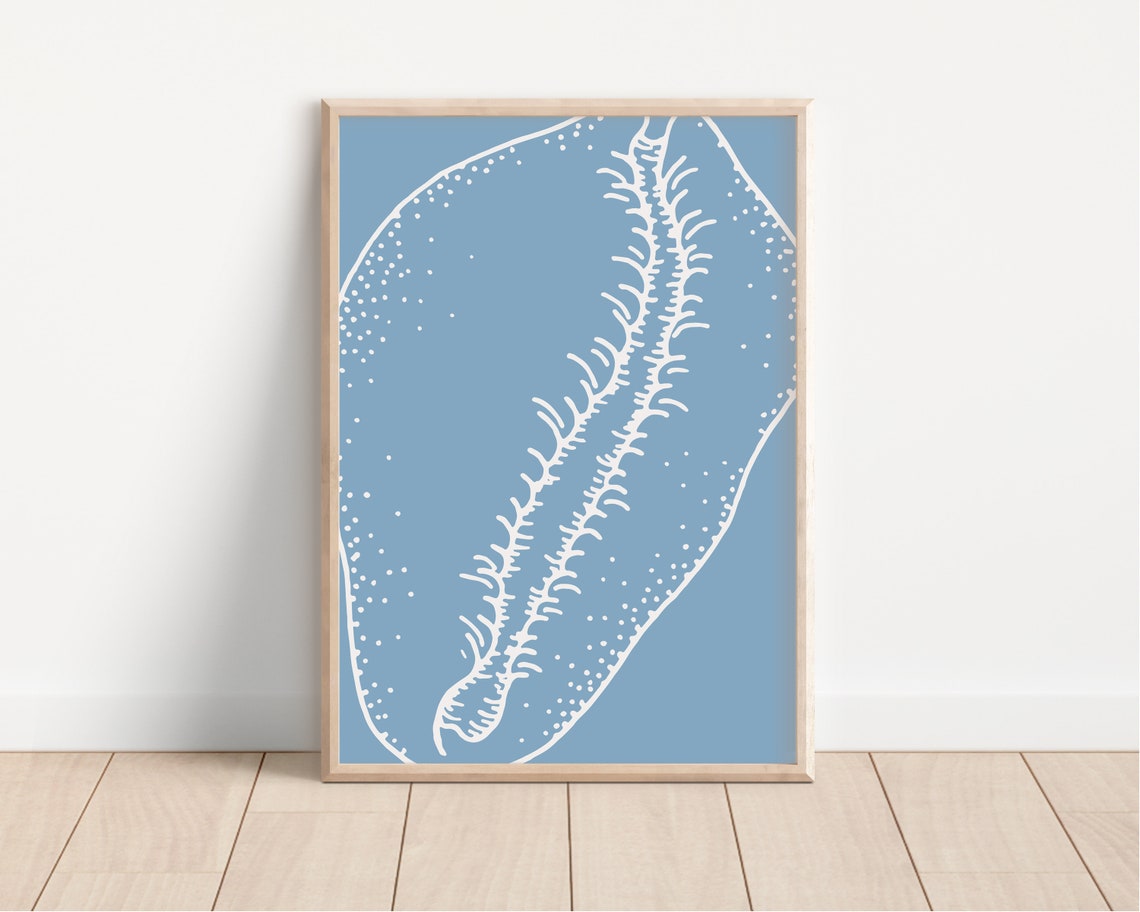 Blue Seashell White Line Illustration Coastal Ocean Art Poster - Image 4