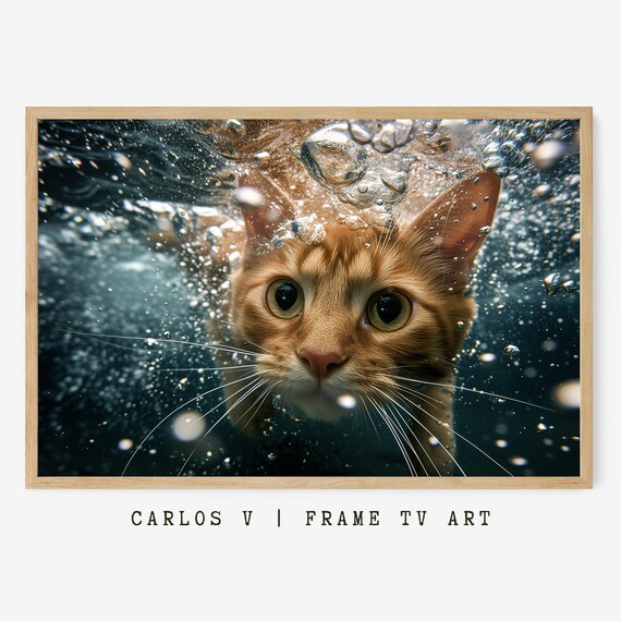 Ginger Cat Swimming Underwater Close Up Wildlife Art Frame TV Poster
